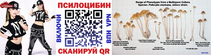 Галлюциногенные грибы мицелий  mega ссылки  Шацк 